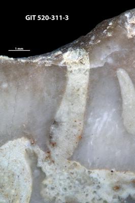 <i></i><br />Nõmmküla,  m, Nabala Stage