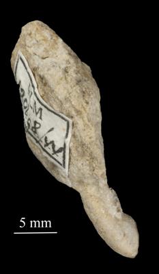 https://files.geocollections.info/large/5f/99/5f99faee-b32e-4d21-8a2e-4970fd2c5ffd.jpg