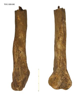 https://files.geocollections.info/large/60/48/6048e28d-b220-462c-b050-93d860f9052b.jpg