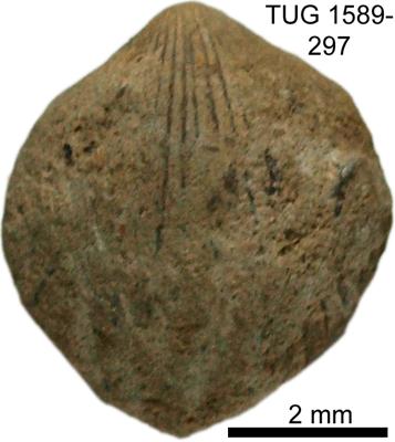 https://files.geocollections.info/large/60/8b/608be46c-c7ed-4789-969a-cda13fc3b02e.jpg