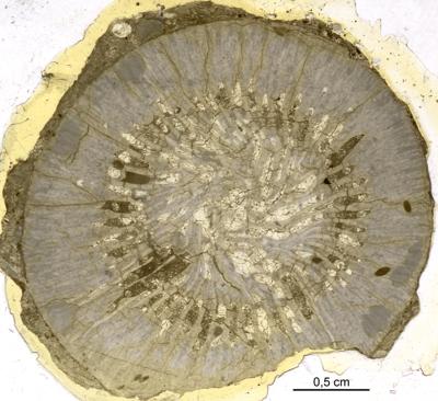 https://files.geocollections.info/large/60/8b/608bfb1d-df75-443f-84d0-56d7b977a7c0.jpg