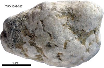 https://files.geocollections.info/large/60/bd/60bd3346-0ee4-47a3-adf7-608cebbc75a3.jpg