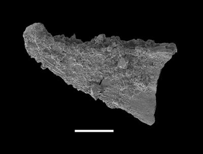 https://files.geocollections.info/large/60/da/60da64e6-266a-46b7-8e1a-cf848287011e.jpg