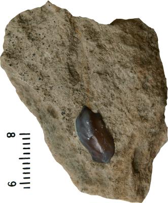 https://files.geocollections.info/large/61/09/610929c4-367c-4f89-be03-def5c9fe52df.jpg