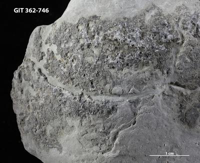 <i></i><br />Ohesaare cliff,  m, Ohesaare Stage