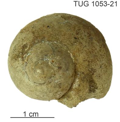 https://files.geocollections.info/large/62/12/6212f938-267a-4652-a334-2909e04b2448.jpg