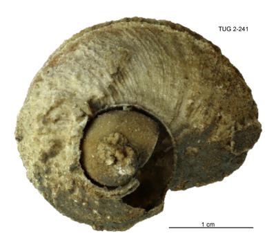 https://files.geocollections.info/large/62/22/62229fc2-f81c-4715-bb8e-27dff5fe83bd.jpg