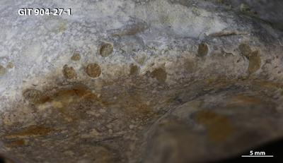 <i></i><br />Rööpli Cliff, Kõinastu,  m, Adavere Stage