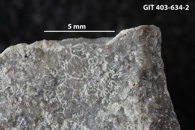 <i></i><br />Ohesaare cliff,  m, Ohesaare Stage