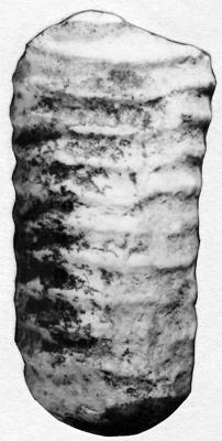 https://files.geocollections.info/large/63/14/63142b97-e89c-4af3-bc1d-cecc2055335e.jpg