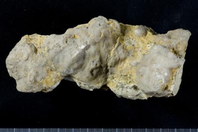 https://files.geocollections.info/large/63/4a/634ab0f7-fef5-42b7-b258-ca2d99f3eb73.jpg