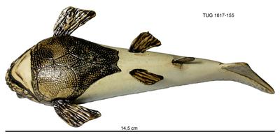 https://files.geocollections.info/large/63/95/63952c31-4ac8-4392-b610-c76c94cf2a3d.jpg