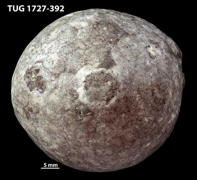 https://files.geocollections.info/large/63/b3/63b3d59a-ffc3-4bec-9618-9e38c17c934e.jpg