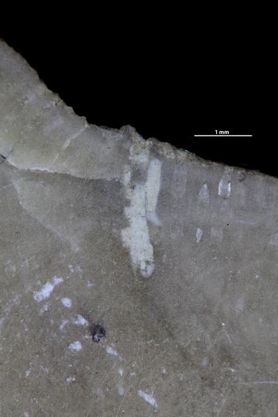 https://files.geocollections.info/large/63/fd/63fd428e-3bbc-4389-8a51-23902aa20eb7.jpg