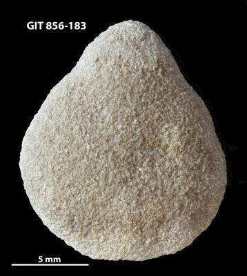 https://files.geocollections.info/large/64/ae/64ae7a81-634b-4d14-81cc-73d7f9520487.jpg