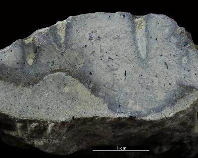 <i></i><br />Väike-Pakri Island,  m, Kunda Stage