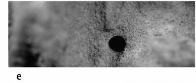 <i>Trypanites aff. fimbriatus (Stephenson, 1952)</i><br />Kohtla,  m, Kukruse Stage