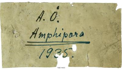 https://files.geocollections.info/large/65/3d/653dcc68-9f4d-4220-bb45-e5e9cabdc522.jpg
