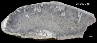 <i></i><br />Ohesaare cliff,  m, Ohesaare Stage