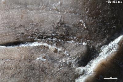 https://files.geocollections.info/large/65/7d/657dc4f4-9b15-473b-b569-1dff0affc29b.jpg