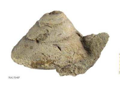 https://files.geocollections.info/large/66/ed/66edf719-29f6-415d-b63c-d4d7b4e4d7f9.jpg
