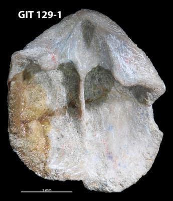 https://files.geocollections.info/large/67/27/67278039-2ac7-4ad0-b111-4bfeaf0256c9.jpg