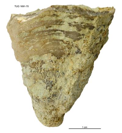 https://files.geocollections.info/large/67/50/67507b7f-5f07-4478-8e30-7866c2a93a61.jpg