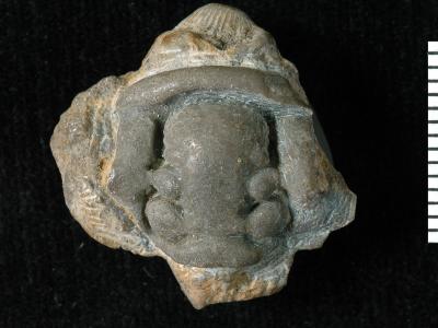 https://files.geocollections.info/large/67/5a/675a0ad0-d455-4fb7-a3ef-527e9c34378e.jpg