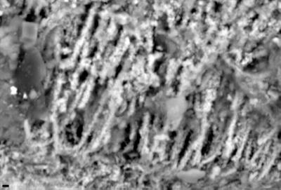 https://files.geocollections.info/large/67/96/67968c52-3348-4672-b5d2-ec7fc45cdda0.jpg