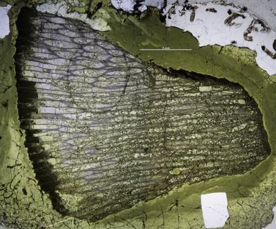 https://files.geocollections.info/large/67/d0/67d076bc-541e-4eea-85d5-dd515c17c7bf.JPG