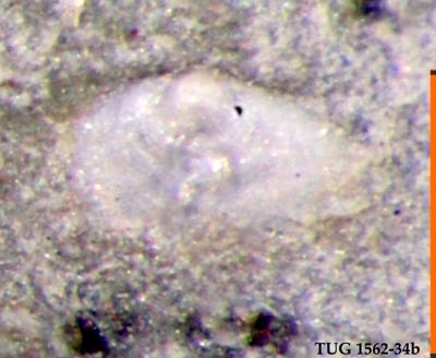 https://files.geocollections.info/large/68/07/68070a79-0349-4a68-844b-dbfbd0d3def5.jpg