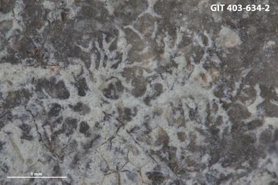 <i></i><br />Ohesaare cliff,  m, Ohesaare Stage