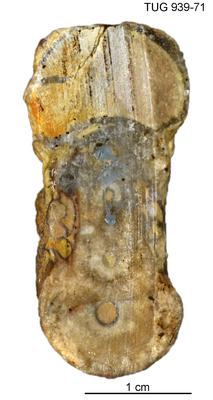 https://files.geocollections.info/large/68/fe/68fe8307-3d53-4bc9-bd4d-b6db26a794e8.jpg