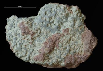 <i></i><br />Syass River, Rebrovo, Leningrad District,  m, Volkhov Stage