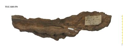 https://files.geocollections.info/large/69/86/6986857b-43c1-4dce-a427-a8e7ddb21ca8.jpg