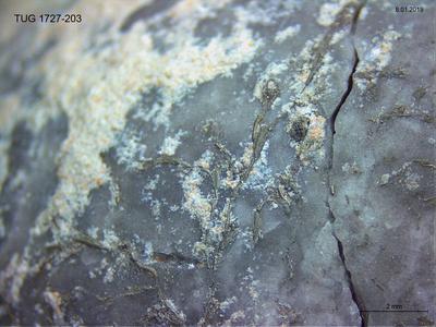 https://files.geocollections.info/large/69/98/699800fa-dacb-4d66-83e8-d5c2d379db1c.jpg