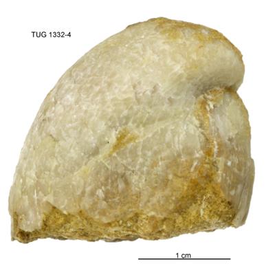 https://files.geocollections.info/large/69/a6/69a624b9-4cf6-4d1b-aac8-89dd76a11c3c.jpg