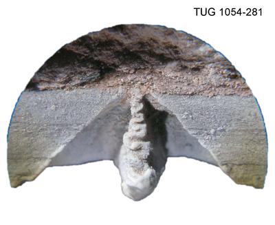 https://files.geocollections.info/large/6a/d8/6ad82ab3-f8b3-4736-add2-5c2aad660f7a.jpg