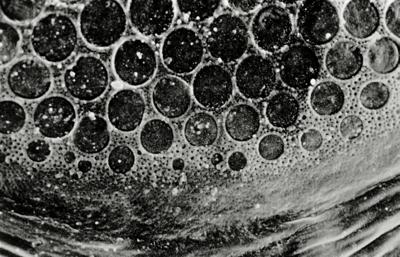 https://files.geocollections.info/large/6b/5f/6b5fe44a-9caa-4c61-82ec-01c00bdf44bc.jpg