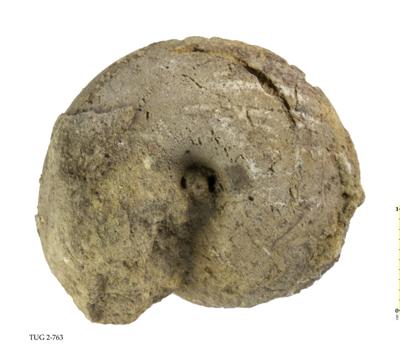 https://files.geocollections.info/large/6b/f0/6bf0a0df-f656-40ec-98f4-1e8f3a3c4c4a.jpg