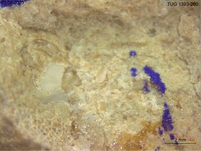 https://files.geocollections.info/large/6c/01/6c01554f-b4e7-45eb-aa11-10e90a9a7834.jpg