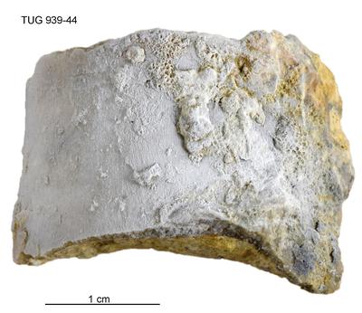 https://files.geocollections.info/large/6c/4f/6c4fa668-9125-4b57-bacb-7b523d94664d.jpg