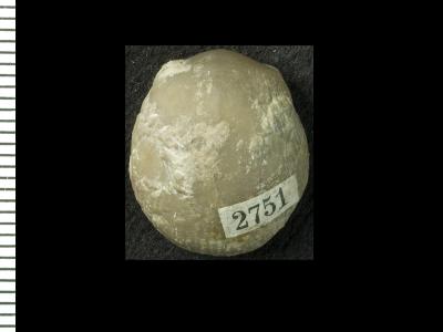 https://files.geocollections.info/large/6c/5a/6c5acdfc-bfdd-4ede-bc85-dbb8ac550b22.jpg