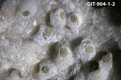 <i></i><br />Rööpli Cliff, Kõinastu,  m, Adavere Stage