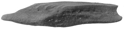 https://files.geocollections.info/large/6c/ec/6cec1e9e-8575-4f9a-aa47-9a817b735f1c.jpg