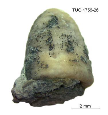 https://files.geocollections.info/large/6d/59/6d5987ee-bcc9-4f92-8468-42c00fe5e7d9.jpg