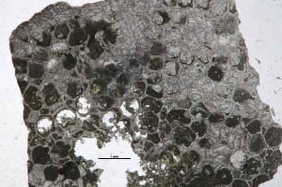 https://files.geocollections.info/large/6e/08/6e08c92d-dc84-4cd0-bafd-f3de4de7c432.jpg