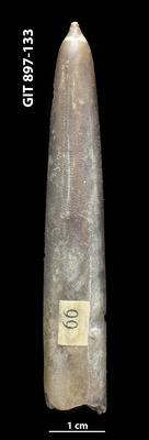 https://files.geocollections.info/large/6e/52/6e521a6a-bcfe-43c7-a127-968944b0390f.jpg