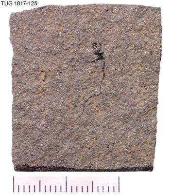 https://files.geocollections.info/large/6e/d8/6ed89cd2-cb1b-45f8-ba57-bb6b621cd222.jpg