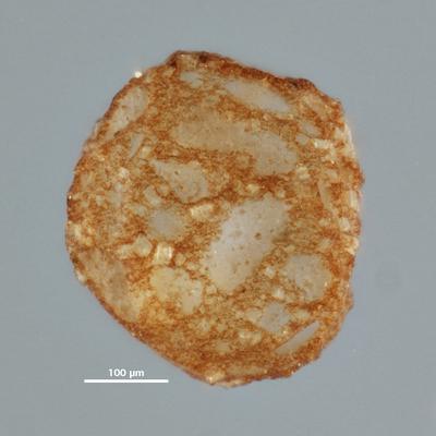 https://files.geocollections.info/large/6f/0c/6f0c6607-2dc4-42db-acc9-d0df07686a01.jpg